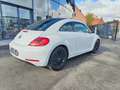 Volkswagen Beetle Beetle 1.2 TSI Allstar BMT Blanco - thumbnail 3