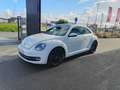 Volkswagen Beetle Beetle 1.2 TSI Allstar BMT Blanco - thumbnail 1