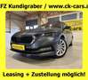 Skoda Octavia DSG SKY VIRTUAL COCKPIT HEAD-UP MATRIX CANTON AHK Grau - thumbnail 1