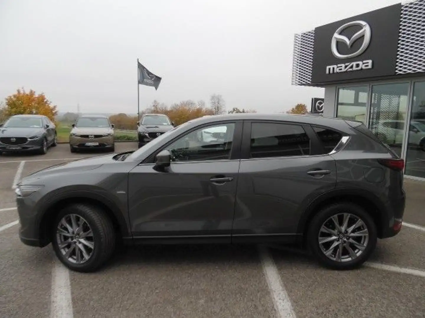 Mazda CX-5 2.2 SKYACTIV-D 150 Kangei FWD Gris - 2