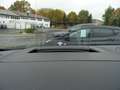 Ford Kuga 1.5 Ecoboost ST-Line X +Panorama+LED+B&O+Head-up Schwarz - thumbnail 16