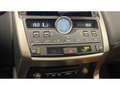 Lexus NX 300h 300h 4WD Executive PHASE 2 / Toit Panoramique / Carplay / Siege Chauffant Electrique - thumbnail 18