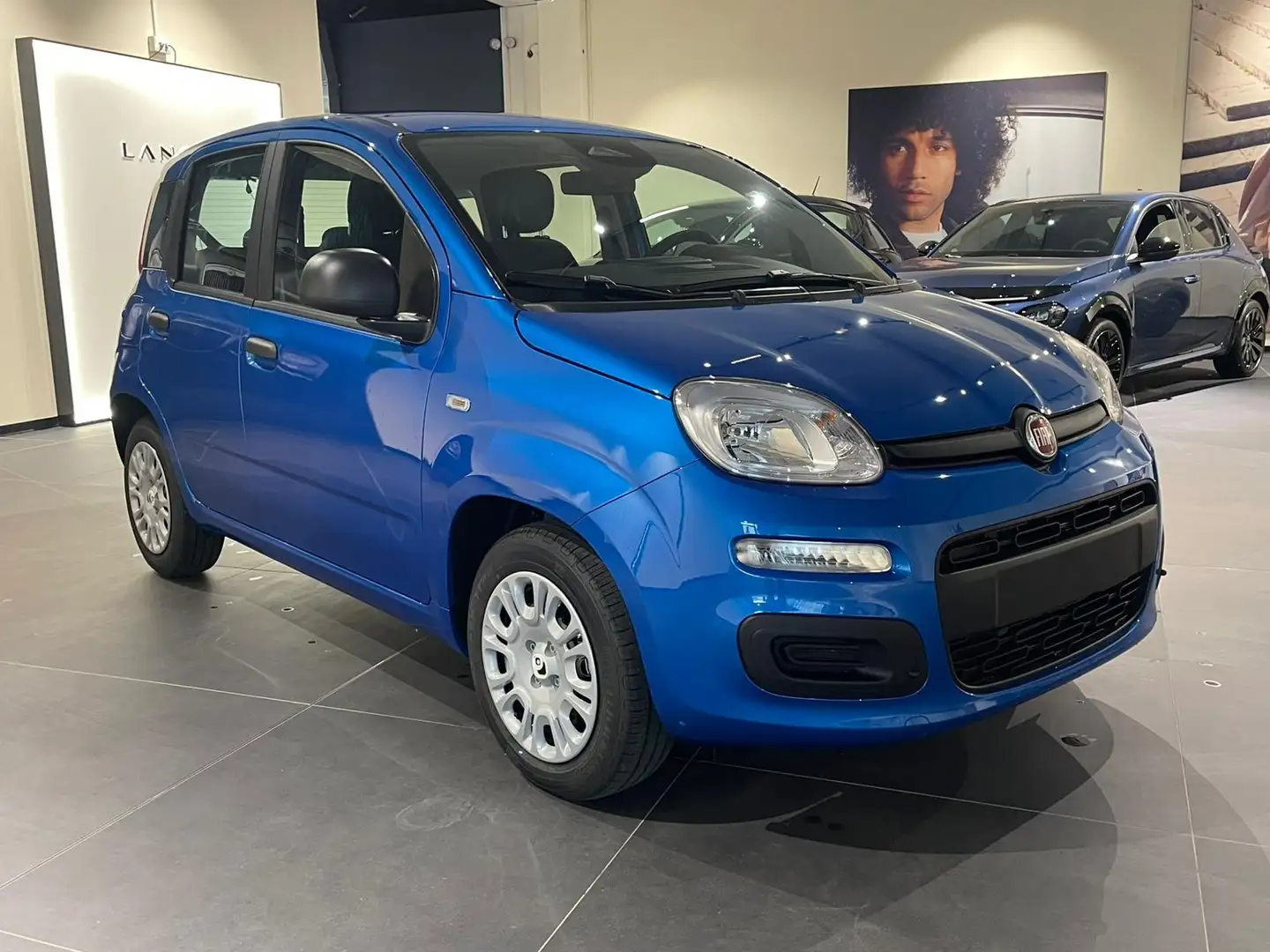 Fiat Panda My24 1.0 70cv Hybrid Panda Blu/Azzurro - 1