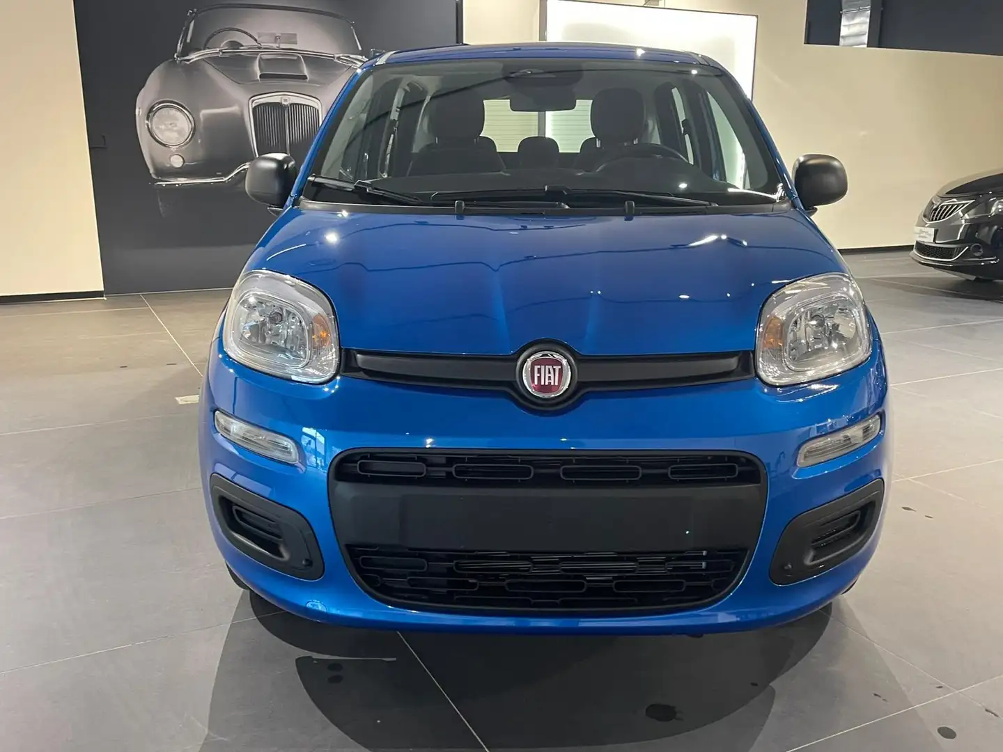 Fiat Panda My24 1.0 70cv Hybrid Panda Blau - 2