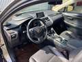 Lexus NX 300h 300h Or - thumbnail 6
