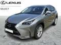 Lexus NX 300h 300h Or - thumbnail 1