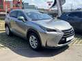 Lexus NX 300h 300h Or - thumbnail 3