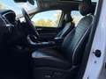 Ford S-Max S-MAX // Vignale // Panorama // Massage // 7 SITZE Weiß - thumbnail 16