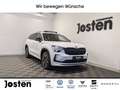 Skoda Kodiaq Sportline 2.0TDI 4x4 DCC+ Matrix-Beam Pano Canton Weiß - thumbnail 16