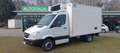 Mercedes-Benz Sprinter 415 cdi - FRIGO - più IVA Bianco - thumbnail 1