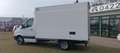 Mercedes-Benz Sprinter 415 cdi - FRIGO - più IVA Bianco - thumbnail 4