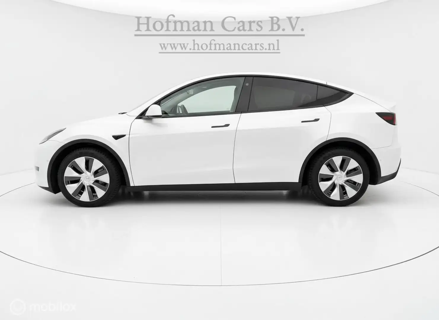 Tesla Model Y Long Range AWD 75 kWh Blanc - 2