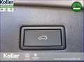Volkswagen Tiguan Allspace Tiguan Allspace 2.0 TDI DSG AHK 7 Sitze Kamera Argento - thumbnail 12
