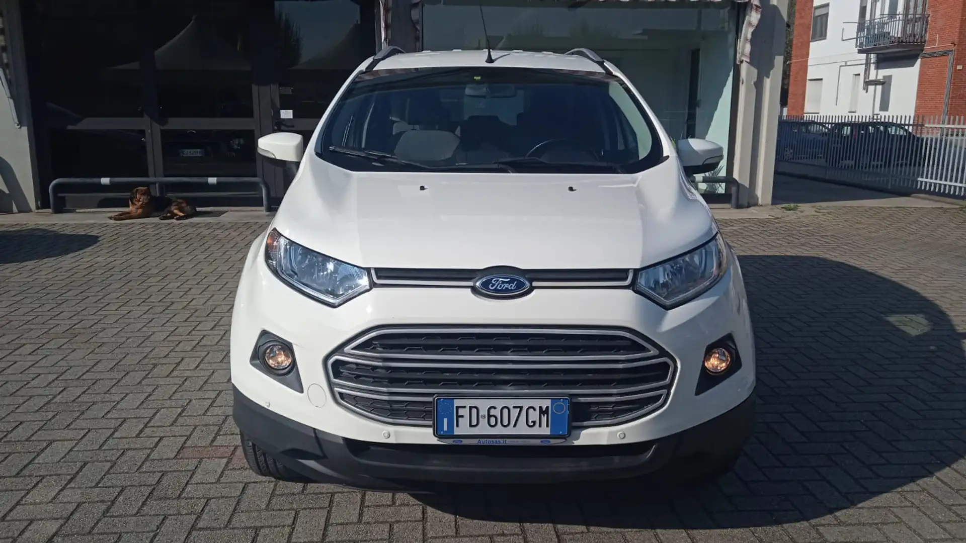 Ford EcoSport EcoSport 1.5 Business 110cv E6 Bianco - 1