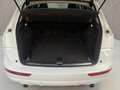 Audi Q5 2.0 TFSI quattro / Panorama / Onderhouden Wit - thumbnail 10