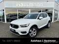 Volvo XC40 D3 Momentum +1.HAND+AHK+RFK+LED+APPLE CP+ Weiß - thumbnail 1