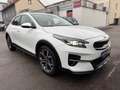 Kia XCeed Xdition AUT~Navi~Kam~JBL~ACC~Spur~Memory Weiß - thumbnail 7