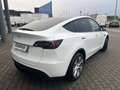 Tesla Model Y Model Y Long Range AWD Blanc - thumbnail 5