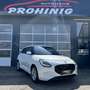 Suzuki Swift 1,2 Hybrid Shine Weiß - thumbnail 12