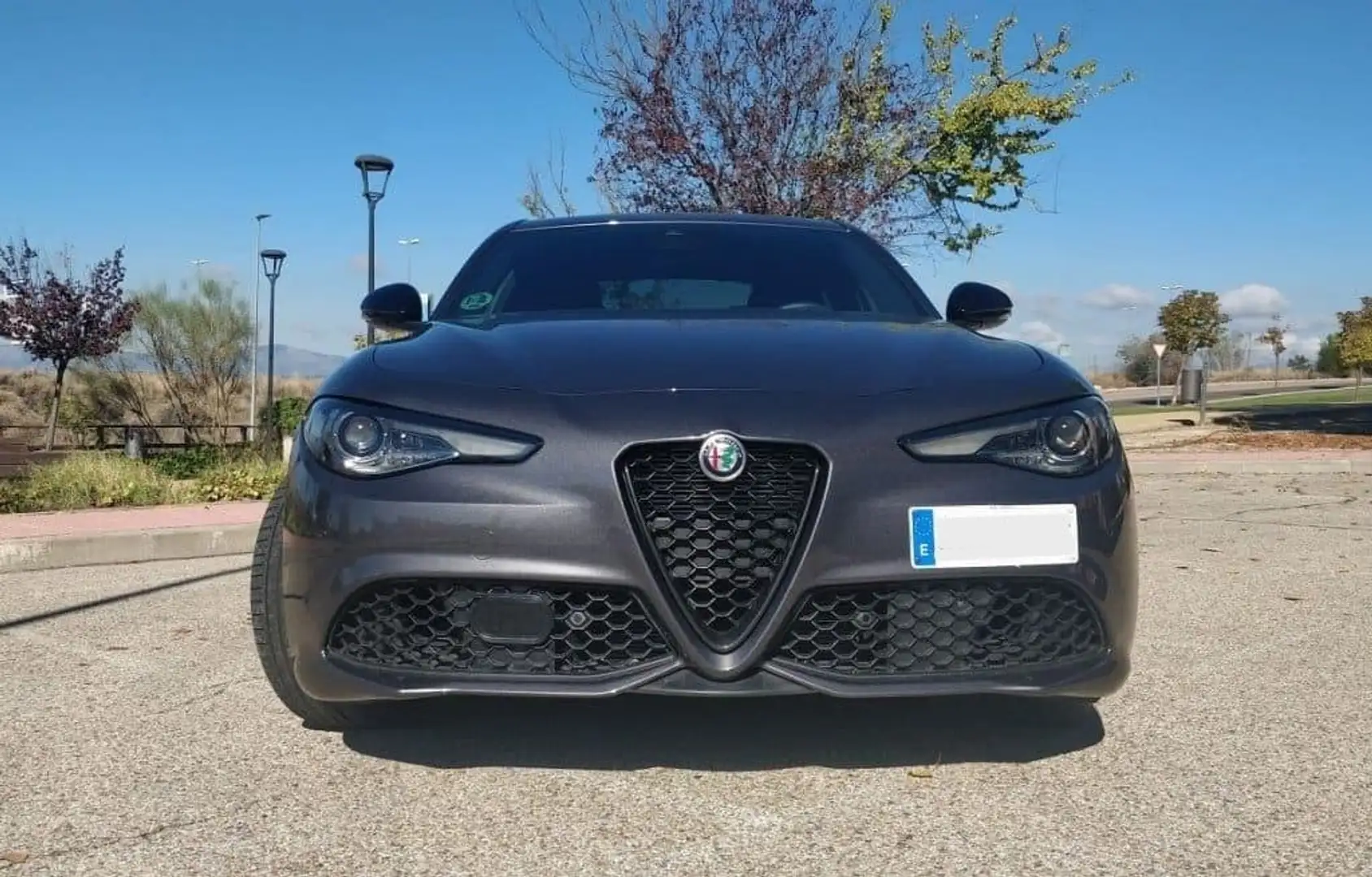Alfa Romeo Giulia 2.2 Diesel 154kW (210CV) Veloce Q4 Gris - 2