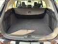 Ford Focus Turnier 1,5 EcoBlue Titanium *Automatik* Schwarz - thumbnail 9