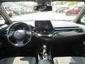 Toyota C-HR 2.0H Team D Rot - thumbnail 8