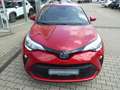 Toyota C-HR 2.0H Team D Rot - thumbnail 2