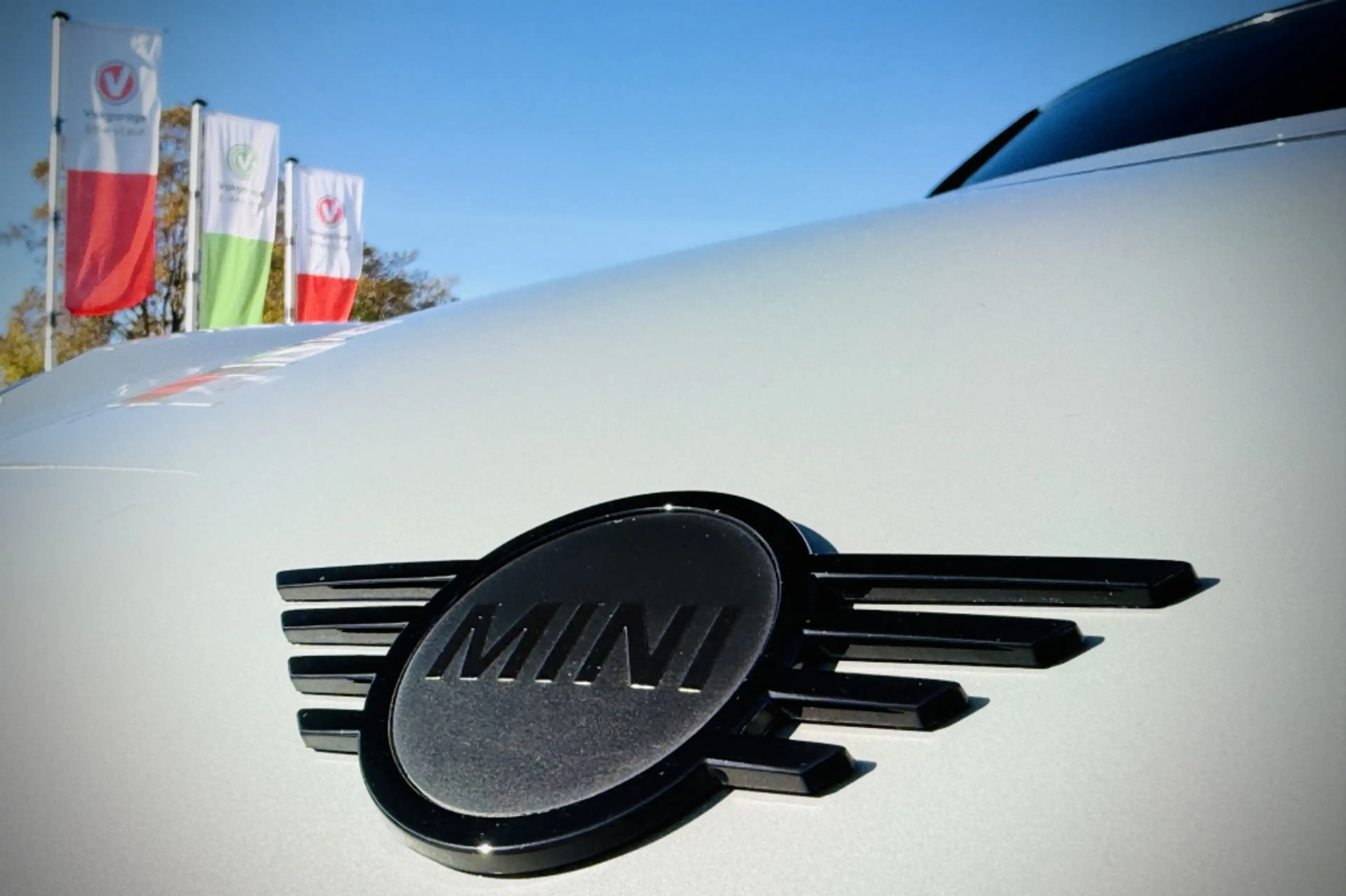 MINI Cooper Clubman 1.5 Richmond Park | PANO | H&K | CAMERA | STOELVER — photo 5