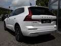 Volvo XC60 T6 Recharge Inscription Expression AWD Weiß - thumbnail 2