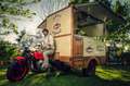 Moto Guzzi Ercole 500 Rot - thumbnail 15