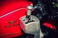 Moto Guzzi Ercole 500 Rot - thumbnail 14