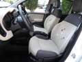 Fiat Panda Panda 1.3 mjt 16v Easy 95CV Bianco - thumbnail 7