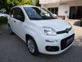 Fiat Panda Panda 1.3 mjt 16v Easy 95CV Bianco - thumbnail 3