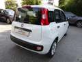 Fiat Panda Panda 1.3 mjt 16v Easy 95CV Bianco - thumbnail 4