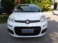 Fiat Panda Panda 1.3 mjt 16v Easy 95CV Bianco - thumbnail 2