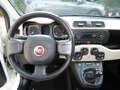 Fiat Panda Panda 1.3 mjt 16v Easy 95CV Bianco - thumbnail 10