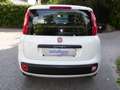 Fiat Panda Panda 1.3 mjt 16v Easy 95CV Bianco - thumbnail 5