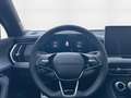 Skoda Kodiaq 142kW 2.0 TDI Sportline Matrix 360 4xSHZ Grau - thumbnail 15
