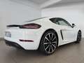 Porsche 718 Cayman 2.0 Bianco - thumbnail 5
