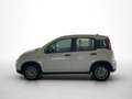 Fiat Panda Hybrid 1.0 GSE 51kw (70PS) Weiß - thumbnail 9