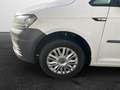 Volkswagen Caddy Maxi 1.0 TSI Rollstuhlumbau Trendline Weiß - thumbnail 6
