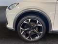 CUPRA Formentor VZ 2.0 TSI 4Dr DSG *LED*AHK*Pano*Beats* Weiß - thumbnail 22