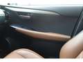 Lexus NX 300h 300h 4WD Luxe - BV E-CVT Gris - thumbnail 44