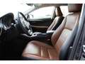 Lexus NX 300h 300h 4WD Luxe - BV E-CVT Gris - thumbnail 14