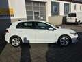 Volkswagen Golf Life Weiß - thumbnail 29