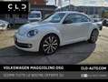 Volkswagen Maggiolino 2.0 TSI DSG Sport Blanc - thumbnail 1