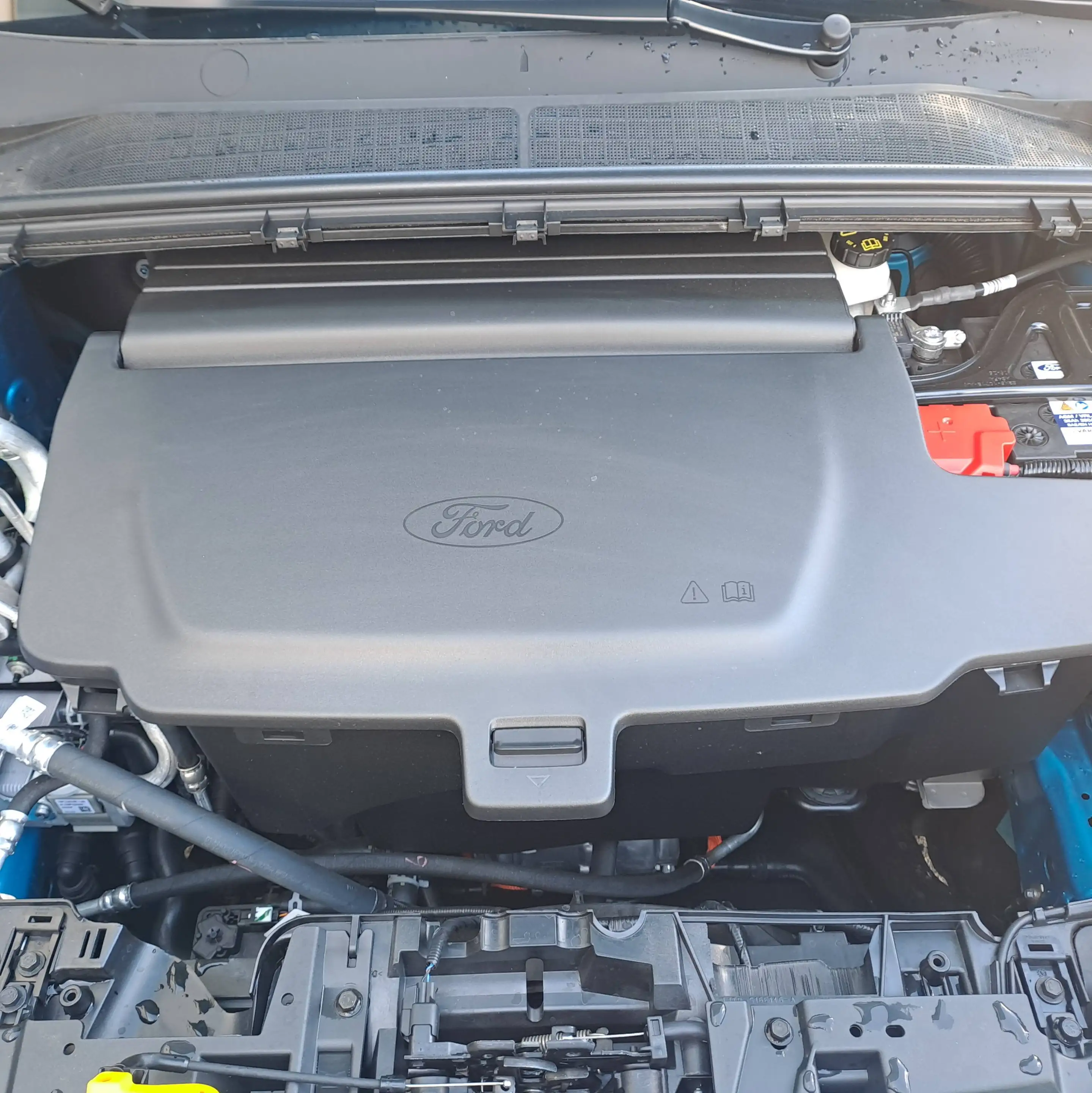 Ford Puma Gen-E — photo 8