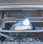 Ford Puma Gen-E Blau - thumbnail 9