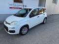 Fiat Panda 1.2 Pop, Klima, Radio, ESP, efH Weiß - thumbnail 1