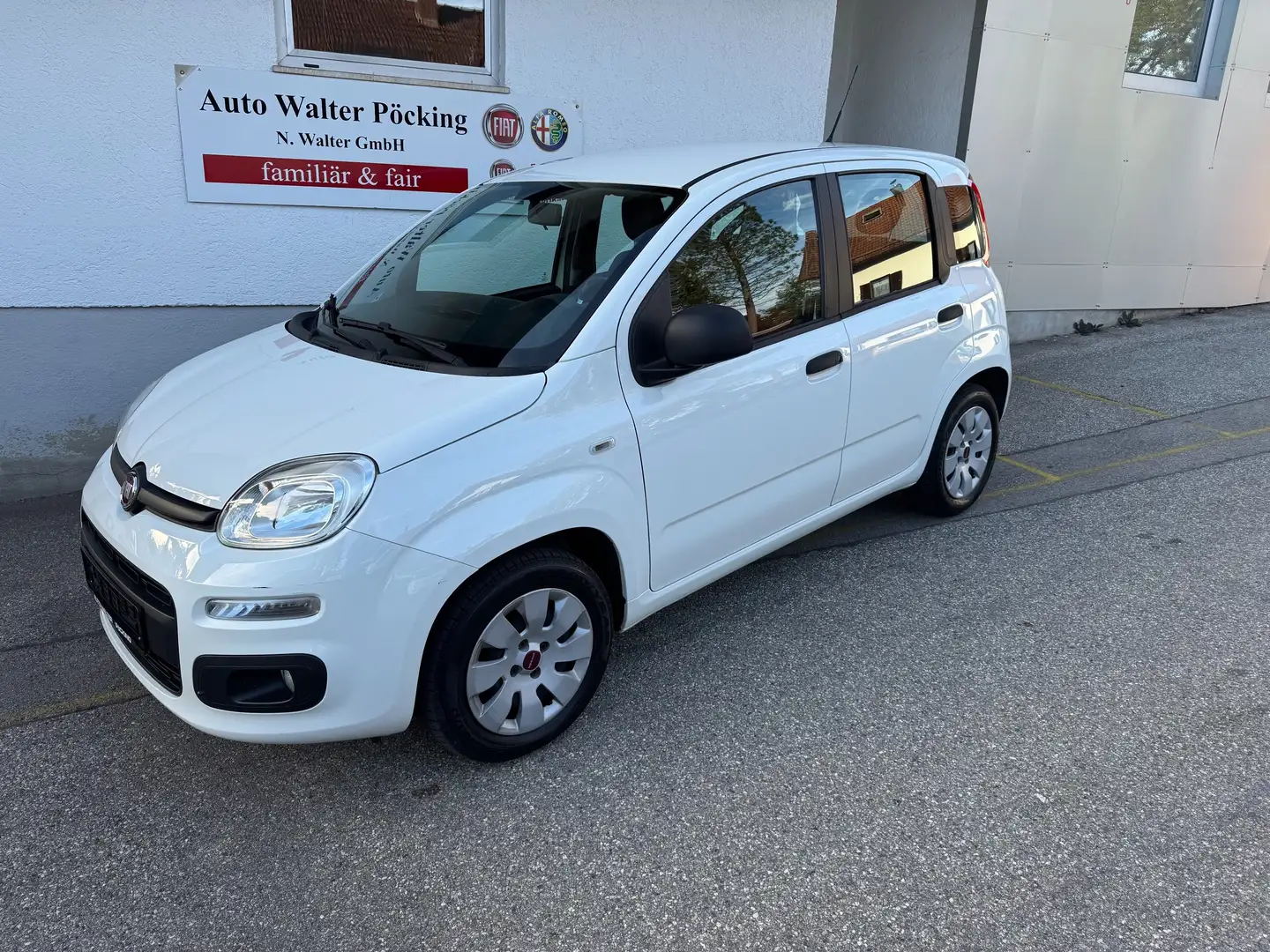 Fiat Panda 1.2 Pop, Klima, Radio, ESP, efH Weiß - 1